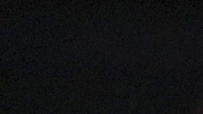 Javier 'Vasco' Aguirre, entrenador mexicano del RCD Mallorca.