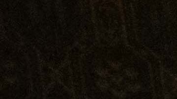 Estados Unidos vetó una resolución del Consejo de Seguridad que proponía un alto al fuego en Gaza.