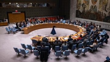 Estados Unidos vetó una resolución del Consejo de Seguridad que proponía un alto al fuego en Gaza.