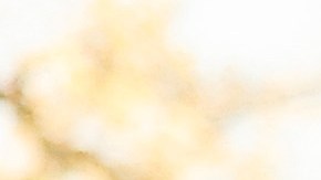 Sospechoso del tiroteo en Universidad de Nevada, en Las Vegas, tenía más de 150 cartuchos: Policía