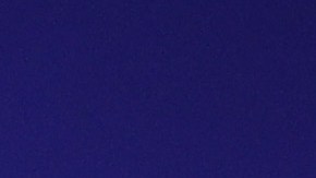 Draymon Green ha sido expulsado dos veces en la temporada.