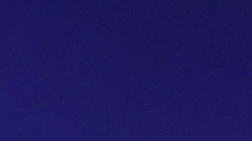 Draymon Green ha sido expulsado dos veces en la temporada.