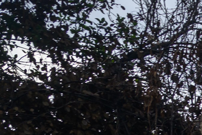 Conflicto con Israel: ¿Quién pagará para reconstruir Gaza?