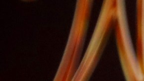 TORONTO, ONTARIO - DECEMBER 13: Timothée Chalamet attends the "Wonka" Canadian Fan Screening at Cineplex Cinemas Yorkdale on December 13, 2023 in Toronto, Ontario. (Photo by Jeremy Chan/Getty Images)