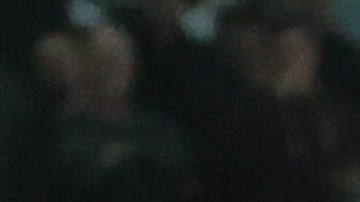 Giannis Antetokounmpo estaba molesto por no tener el balón.