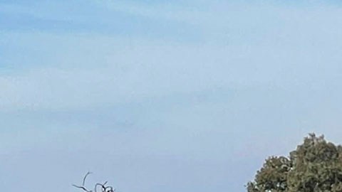 Masacre en Salvatierra