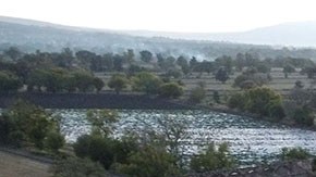 Masacre en Salvatierra