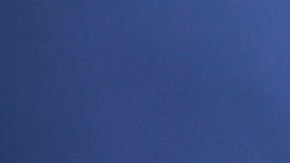 El director técnico brasileño, André Jardine, celebrando el título del Apertura 2023 conseguido por el América.