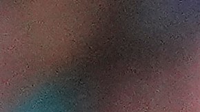 Ambos pilotos deberán dejar todo dentro de la pista para ver cuál de los dos tendrá un contrato para 2025