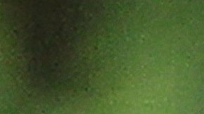 Nahuel Guzmán tiene más de 400 partidos en la Liga MX.