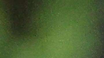 Nahuel Guzmán tiene más de 400 partidos en la Liga MX.