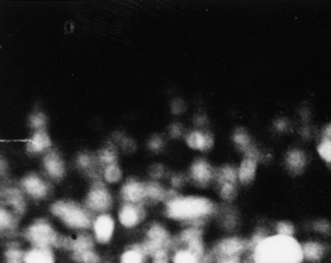 Great all-round baseball player, Babe Ruth (George Herman Ruth, 1895 - 1948) shakes hands with the 29th President of the USA, Warren Harding. After the handshake Babe Ruth hit a home run to help his team, the New York Yankees win the third game of the series with the Wash. (Photo by Keystone/Getty Images)