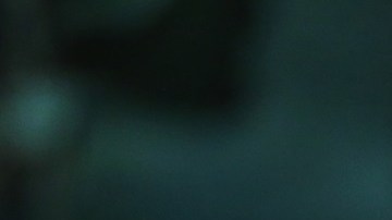 Obtener la ciudadanía ayuda a inmigrantes a mejorar su riqueza.