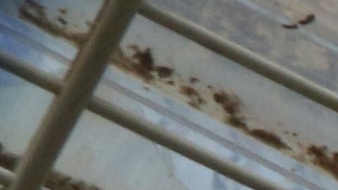 View of the Domenjod prison on October 16, 2014 in Saint-Denis de la Reunion on the French Indian Ocean island of La Reunion. AFP PHOTO RICHARD BOUHET (Photo credit should read RICHARD BOUHET/AFP via Getty Images)