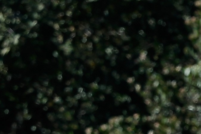 SAN DIEGO, CA - JANUARY 26: California Highway Patrol officers control traffic outside Naval Medical Center San Diego after reports of gunfire inside the Military Hospital on January 26, 2016 in San Diego, California. Initial reports of gunfire were later said to be unfounded by local law enforcement. (Photo by Sean M. Haffey/Getty Images)