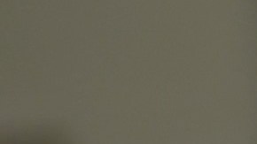 Adolescente embarazada y su novio fueron encontrados muertos en un automóvil en Texas