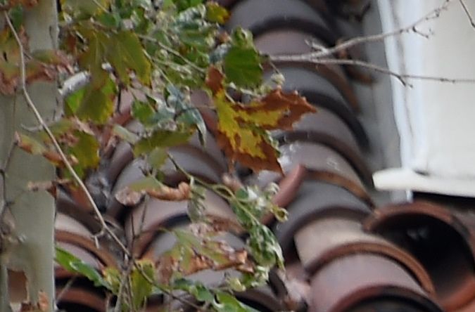 Los Angeles County Sheriff's deputies stand guard at the entrance to the Universal City Metro train station on December 6, 2016 in Universal City, California. Authorities ratcheted up security on the Los Angeles metro following a tip from overseas about an impending bomb attack Tuesday against a station in the sprawling rail network. The threat was relayed by an anonymous man who called a public safety line run by an unidentified foreign government, which then passed on the information to a Federal Bureau of Investigation terrorism task force, said Deirdre Fike, assistant director in charge of the FBI's office in Los Angeles. / AFP / Robyn Beck (Photo credit should read ROBYN BECK/AFP via Getty Images)
