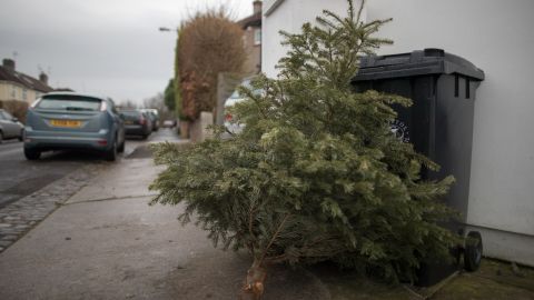 BRISTOL, ENGLAND - JANUARY 06: A discarded Christmas tree waits to be collected outside a residential property on January 6, 2017 in Bristol, England. Following the festive period many councils in UK are struggling to get on top of the huge amount of residential recycling and refuse that has been generated. In Bristol, the city's waste company, Bristol Waste has described the levels as being 'unprecedented' and the cause of some delays in collection. (Photo by Matt Cardy/Getty Images)