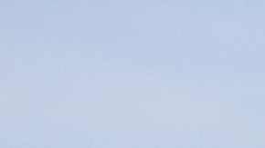 Caballo y carruaje chocan con camioneta en Maryland; hay 4 lesionados, 2 resultan gravemente heridos