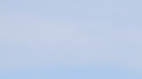 Caballo y carruaje chocan con camioneta en Maryland; hay 4 lesionados, 2 resultan gravemente heridos