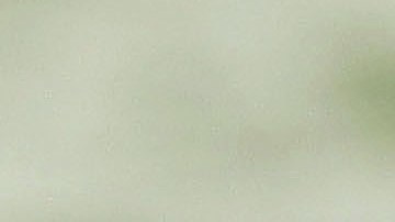 Niño de 6 años murió mutilado por dos perros en Portland