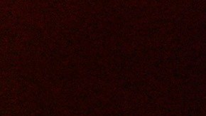 Laine y McCartney, alcanzaron un gran nivel de complicidad y de autoría conjunta en los Wings.