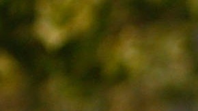 Explosión causada por una posible fuga de gas en una casa de Florida dejó cuatro personas heridas