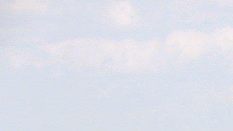 Un piloto y un fotógrafo murieron tras estrellarse un helicóptero de noticias en Nueva Jersey