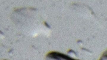 Condiciones climáticas adversas en todo EE.UU. afectan a los viajes de fin de año