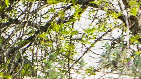 Oficial de Texas acusado de matar a empresario tecnológico en el porche de su casa