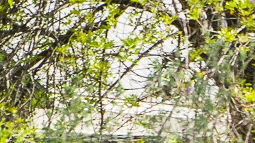 Oficial de Texas acusado de matar a empresario tecnológico en el porche de su casa