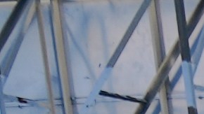 Manifestantes a favor del alto al fuego entre Israel y Gaza, tomaron la autopista 110. (Cortesía Goldner Josh)