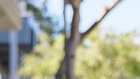 Javier Hernández, candidato a la Asamblea de California. (Cortesía Javier Hernández)