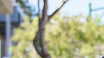 Javier Hernández, candidato a la Asamblea de California. (Cortesía Javier Hernández)