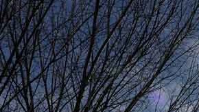 Hunter Biden, hijo del presidente de la nación