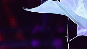 Fanny Lu, contrajo matrimonio con el empresario multimillonario Mario Brescia en una ceremonia realizada el 1 de diciembre en Cartagena.