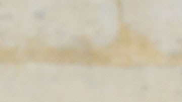 Belinda sorprendió a sus seguidores al compartir una imagen de su árbol de Navidad.