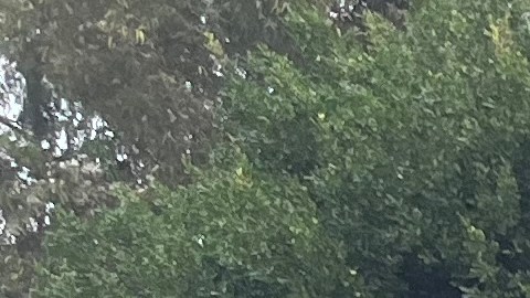 La lluvia no pudo detener a los trabajadores.