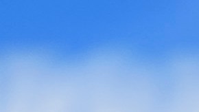 Norma Palafox jugó 17 partidos en su última campaña.