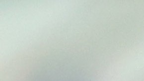 Paunovic estuvo durante un año en el Rebaño Sagrado.