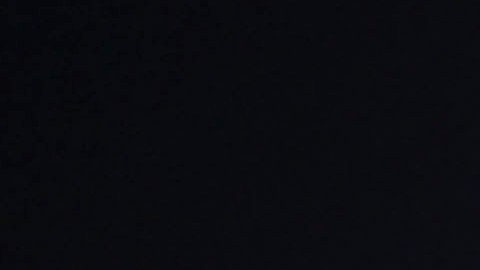 Veljko Paunovic llevó a las Chivas de Guadalajara a la final del Clausura 2023.