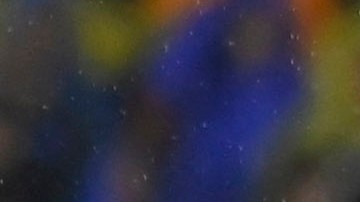 Julián Quiñones (i) y Samir de Souza (d) disputan un balón en el encuentro entre Tigres y América de la fase regular.