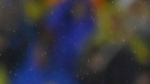 Julián Quiñones (i) y Samir de Souza (d) disputan un balón en el encuentro entre Tigres y América de la fase regular.
