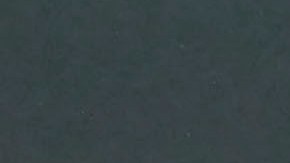 Veljko Paunovic junto a Alexis Vega.