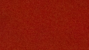 Antonio Mohamed sigue sin equipo.