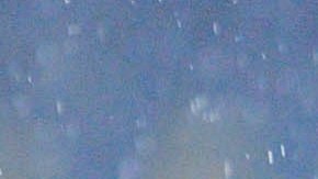 El América quiere ir por el título de la Liga MX.