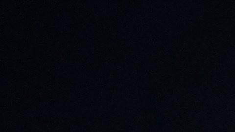 Nicolás Larcamón, entrenador del León FC.