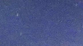 Xavi Hernández y André Jardine se saludan en el amistoso entre América y FC Barcelona.