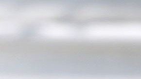 Joe Biden, presidente de la nación