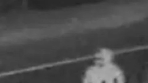 La policía de Los Ángeles publicó imágenes del sospechoso y de un auto de color oscuro en el que se vio al sospechoso.